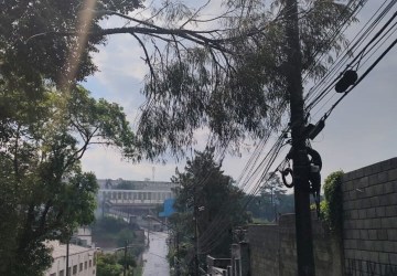 Casa desaba e árvore cai sobre rede elétrica por conta de chuvas em Ferraz de Vasconcelos