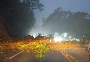 Deslizamento de encosta interdita os dois sentidos da Mogi-Bertioga nesta quarta-feira