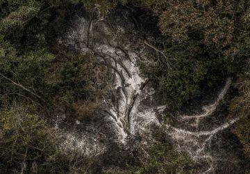 AGU cobra R$ 725 milhões de acusados por danos ambientais no Pantanal