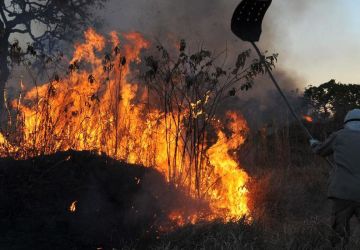 Dino homologa parcialmente plano anti-incêndios na Amazônia e Pantanal