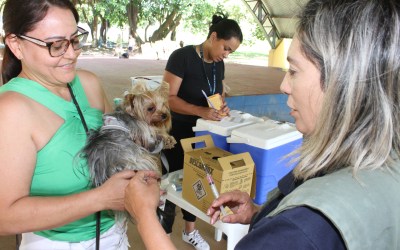 Poá inicia Campanha de Vacinação Antirrábica gratuita nesta quarta-feira