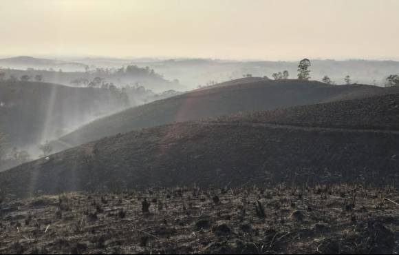 Santa Isabel é a cidade da Grande SP com a área mais devastada por queimadas no ano