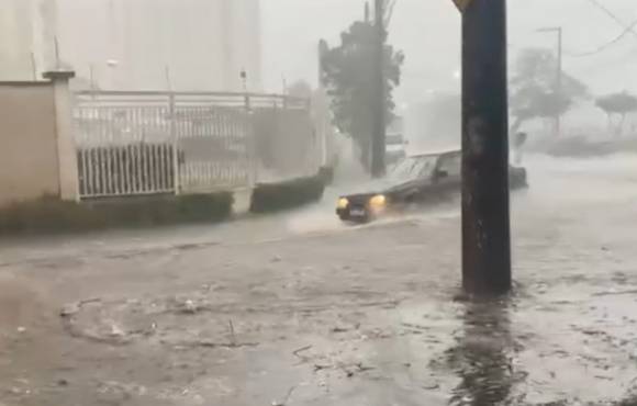 Chuva derruba árvore e causa pontos de alagamento em Mogi das Cruzes