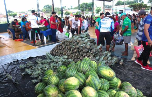 CCJ do Senado aprova proposta que reduz impostos de empresas que doarem alimentos