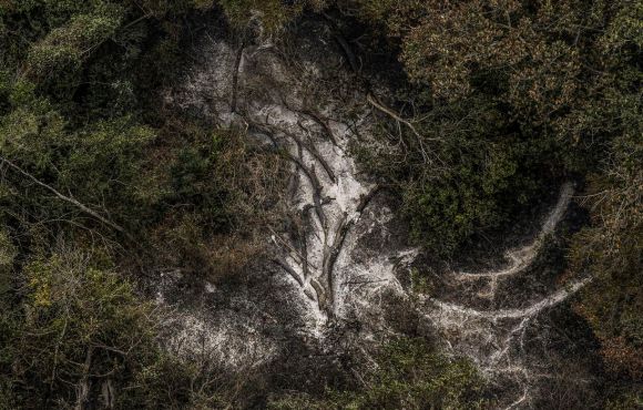 AGU cobra R$ 725 milhões de acusados por danos ambientais no Pantanal