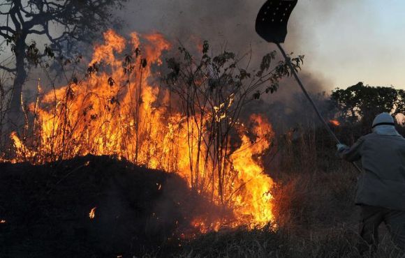 Dino homologa parcialmente plano anti-incêndios na Amazônia e Pantanal